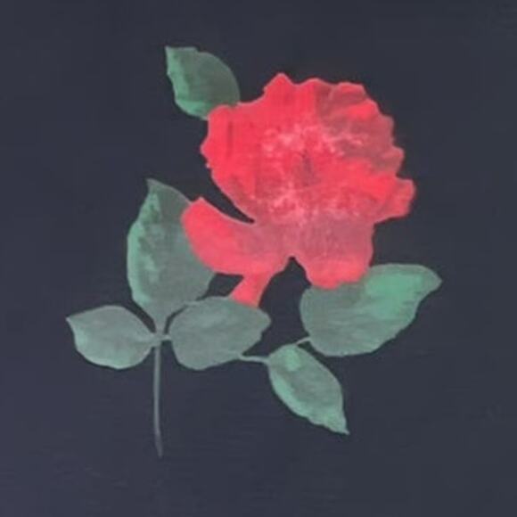 YS Sport by YoungStuff Short Sleeve Nightie Night Dress Black with Red Rose - Picture 11 of 11